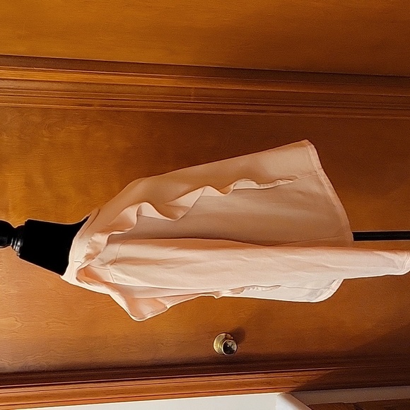 J. CREW Mercantile Pink Ruffle front Sweatshirt - Picture 4 of 7